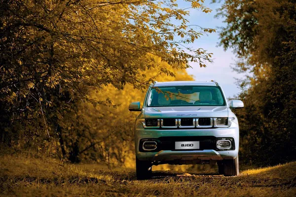 BJ60 - MILD HYBRID - 24