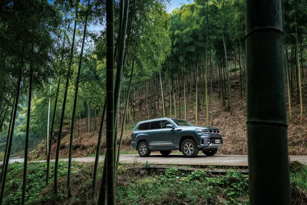 BJ60 - MILD HYBRID - 57