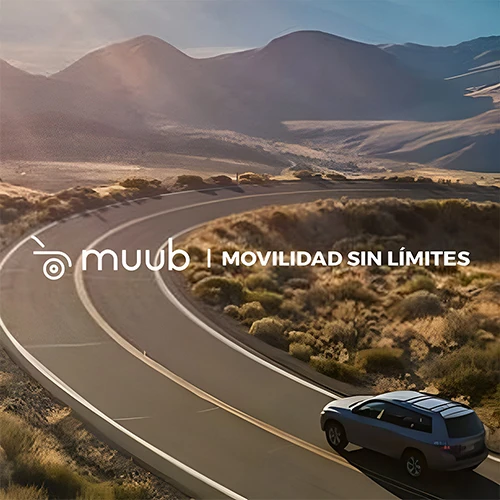 Muub