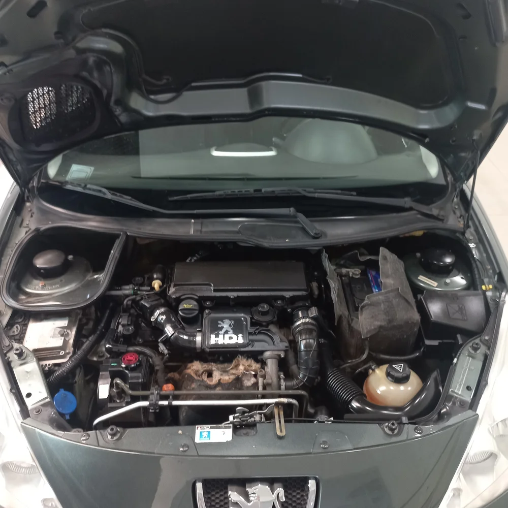 PEUGEOT 207 2011 4x2 DIESEL Miniatura 18