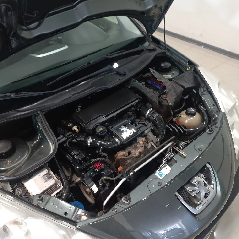 PEUGEOT 207 2011 4x2 DIESEL Miniatura 19
