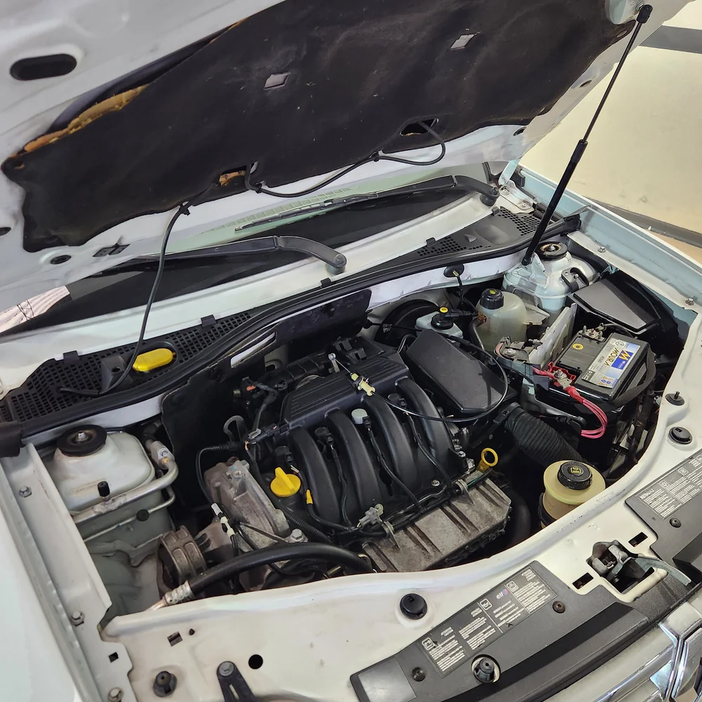 RENAULT Duster 2014 4x2 NAFTA Miniatura 22