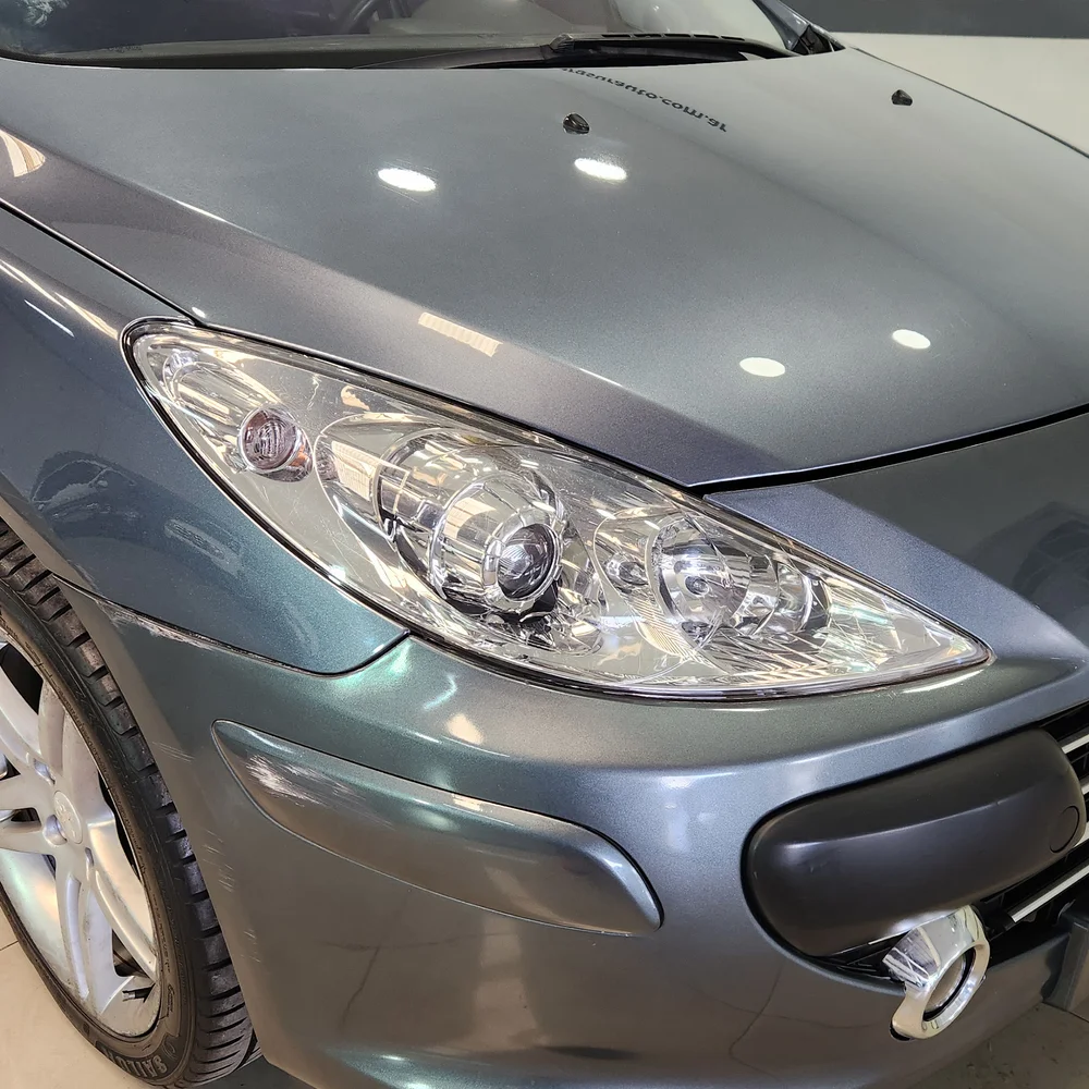 PEUGEOT 307 2008 4x2 NAFTA Miniatura 9