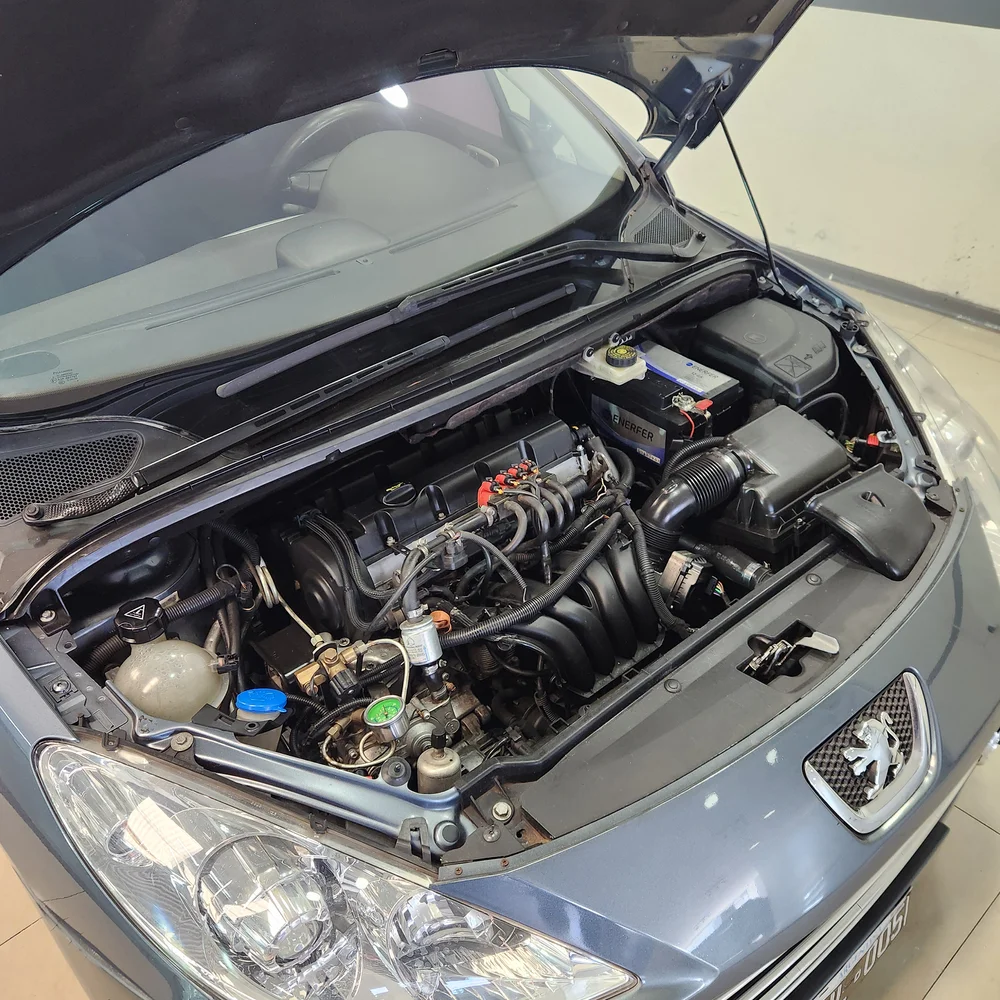 PEUGEOT 307 2008 4x2 NAFTA Miniatura 19