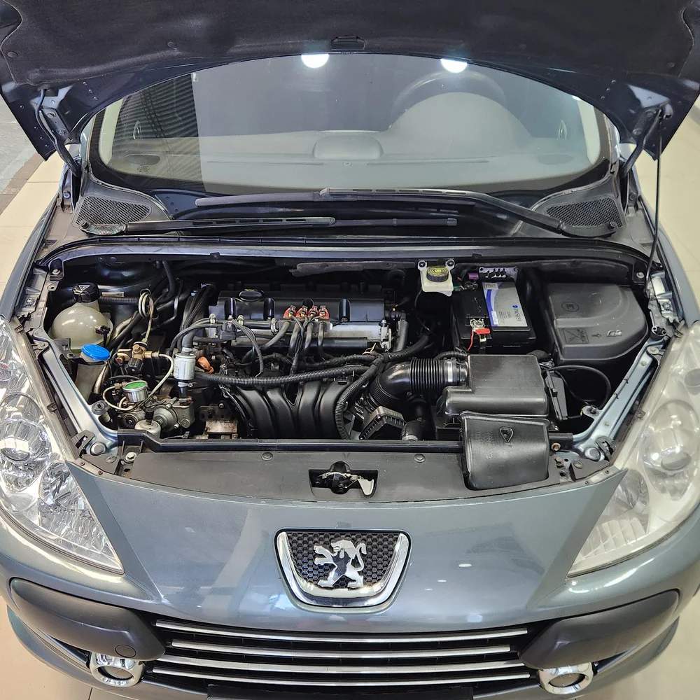 PEUGEOT 307 2008 4x2 NAFTA Miniatura 20
